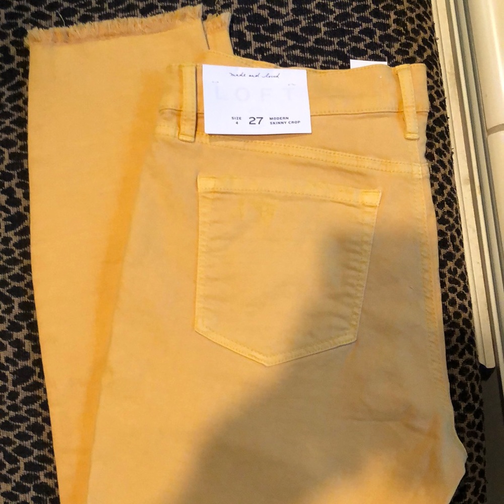 Loft fray bottom modern skinny